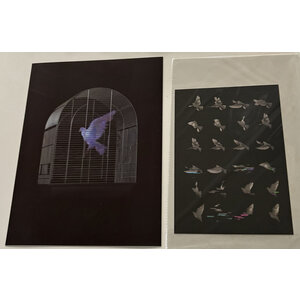 IMBUE SIGNED DIGITAL DOVE HOLOGRAM