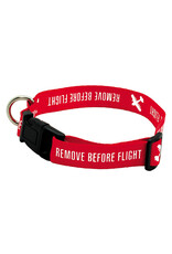 Small Remove Before Flight Dog Collar