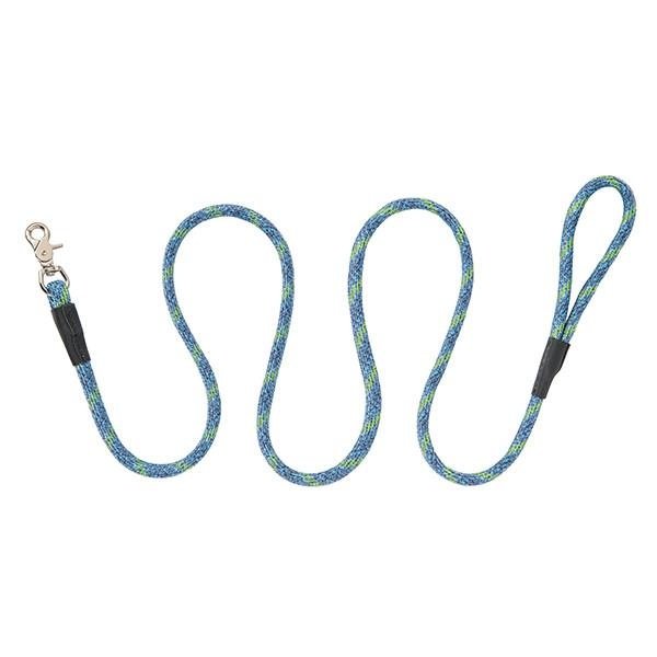 terrain dog leash