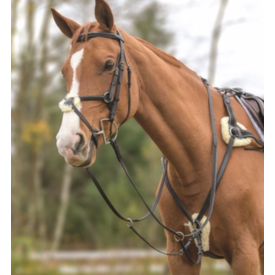 Shires Shires Avignon Five Point Breastplate
