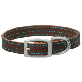 Terrain D.O.G. Bridle Leather Dog Collar