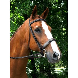 Red Barn Red Barn Tryon Fancy Stitched Bridle