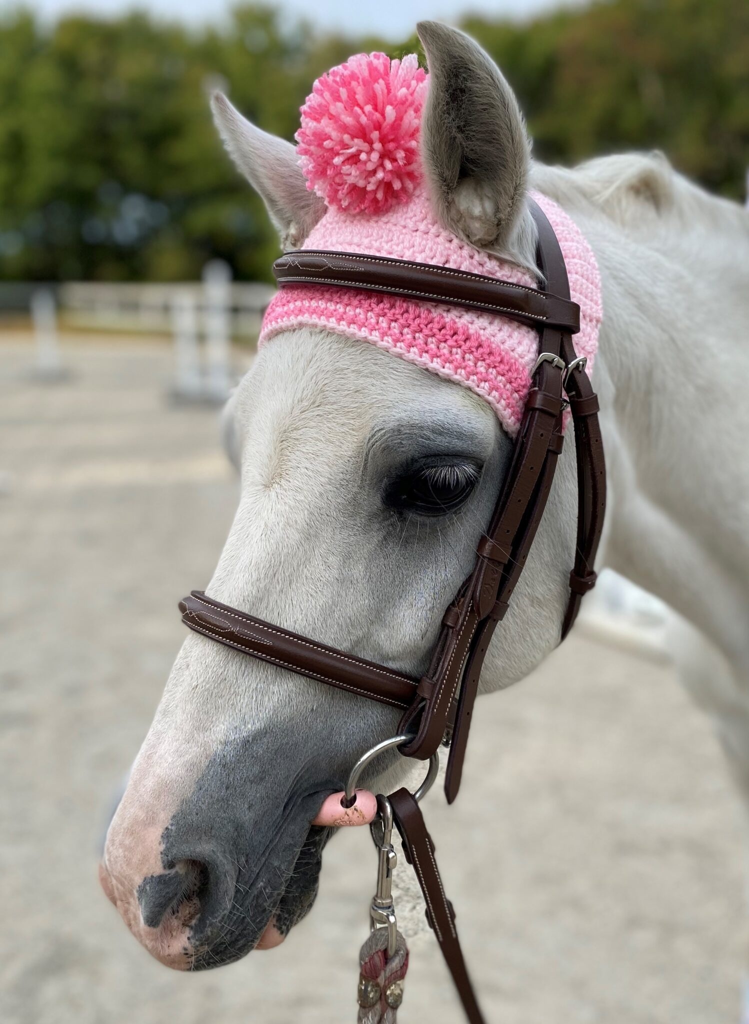 Horse pom pom hat Clearance