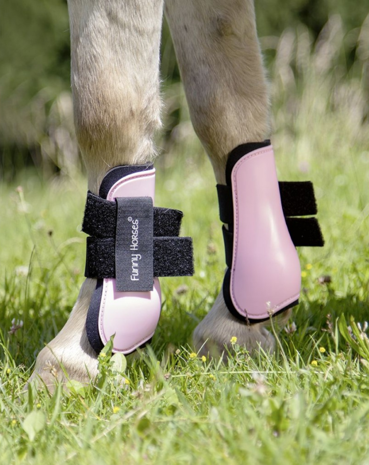 pony splint boots