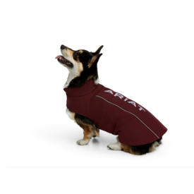 ariat team softshell dog jacket