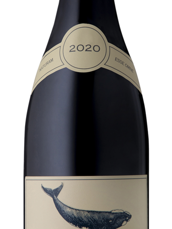 Pinotage Pinotage, Southern Right, Western Cape, ZA, 2021