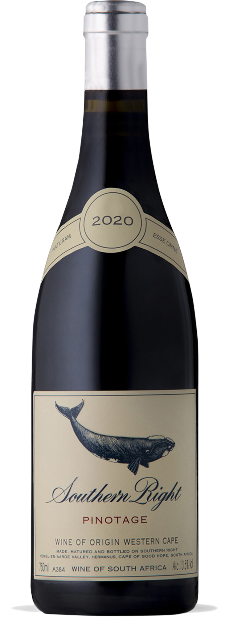 Pinotage Pinotage, Southern Right, Western Cape, ZA, 2022