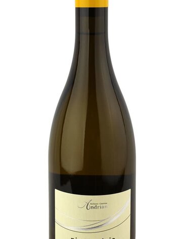 Pinot Grigio/Pinot Gris Pinot Grigio, Cantina Andriano Trentino-Alto Adige, IT, 2021