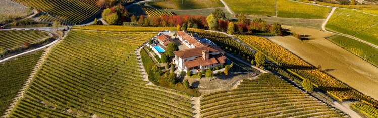 Barbera Barbera d'Alba "Bricco Dei Merli", Elvio Cogno, Piemont, IT, 2021 (Nadia Cogno)