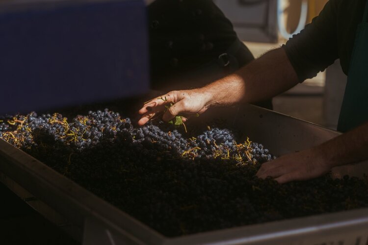 Last Chance Château La Mission Haut Brion, Pessac-Léognan, FR, 2009 (Jean-Phillipe Delmas & Florence Forgas)