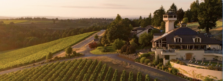 Pinot Noir Pinot Noir "Whole Cluster", Willamette Valley Vineyards, Willamette, OR, 2023