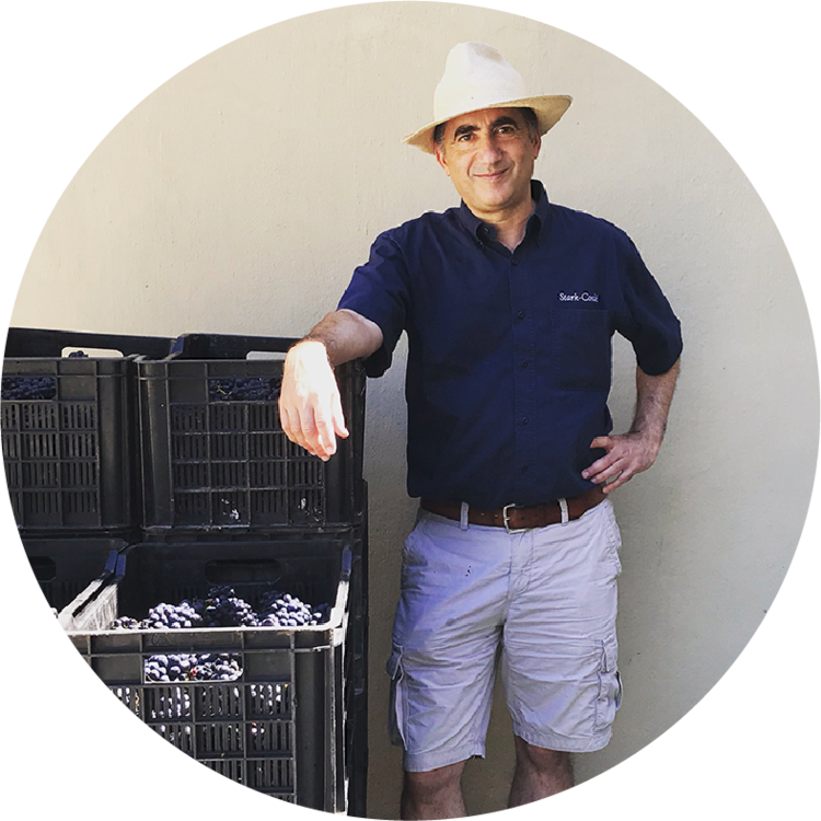 Other Whites White "Field Blend", Stark-Condé, Stellenbosch, ZA, 2023