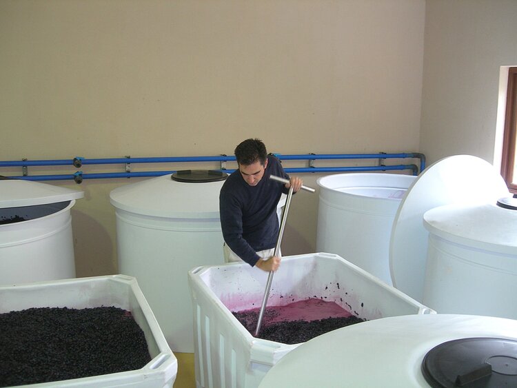 Other Whites White "Field Blend", Stark-Condé, Stellenbosch, ZA, 2023