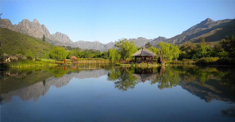 Other Whites White "Field Blend", Stark-Condé, Stellenbosch, ZA, 2023