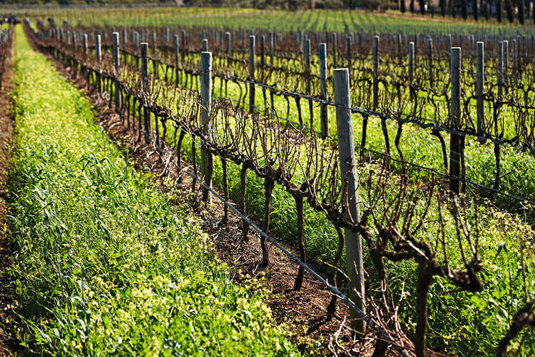 Chardonnay Chardonnay, Hamilton Russell Vineyards, Hemel-En-Aarde Valley, ZA, 2022