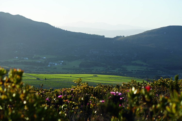Chardonnay Chardonnay, Hamilton Russell Vineyards, Hemel-En-Aarde Valley, ZA, 2022