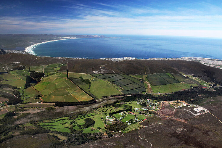 Chardonnay Chardonnay, Hamilton Russell Vineyards, Hemel-En-Aarde Valley, ZA, 2022