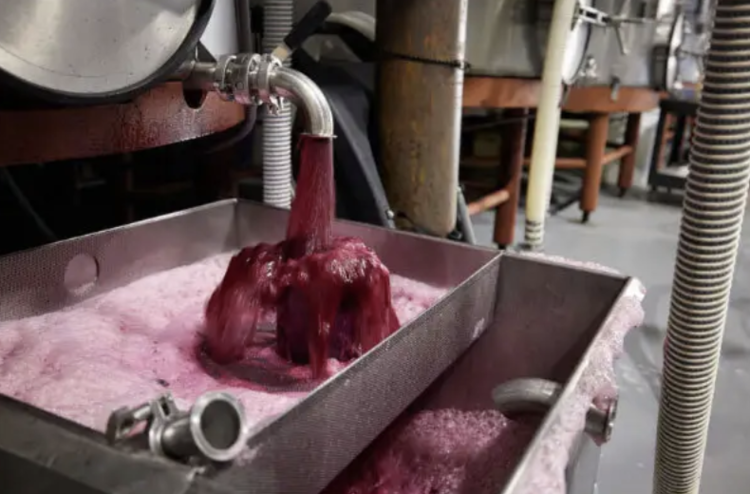 Chardonnay Chardonnay “304”, Neyers Vineyards, Sonoma County, CA, 2023