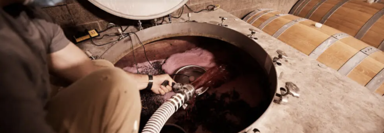 Chardonnay Chardonnay “304”, Neyers Vineyards, Sonoma County, CA, 2023