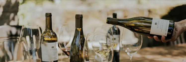 Chardonnay Chardonnay “304”, Neyers Vineyards, Sonoma County, CA, 2023