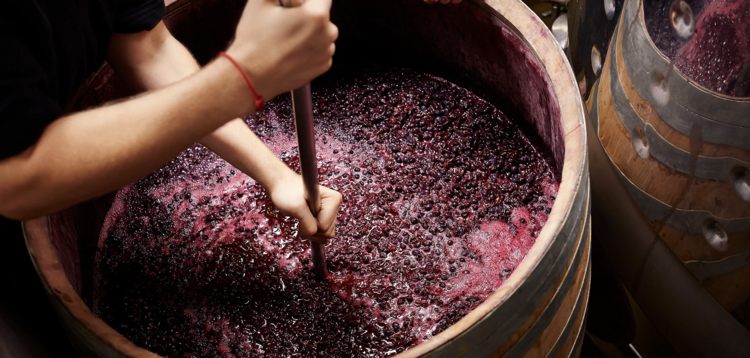 Zinfandel Zinfandel "Estate Reserve", Canard Vineyards, Napa Valley, CA 2019