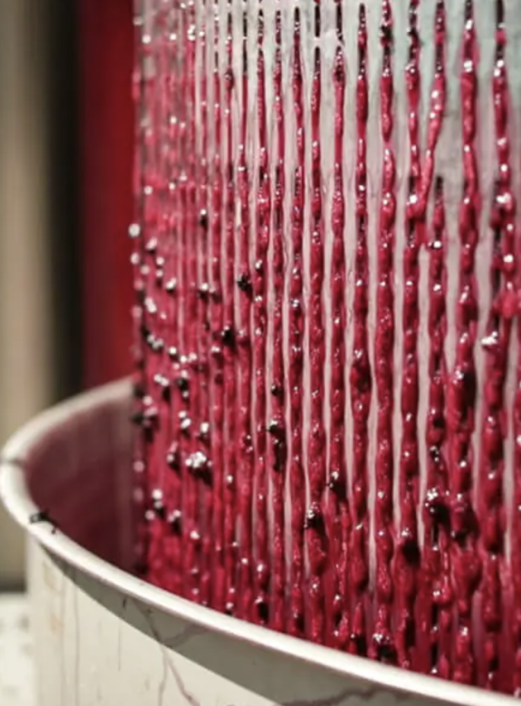 Zinfandel Zinfandel, Rombauer Vineyards, Napa Valley, CA, 2022