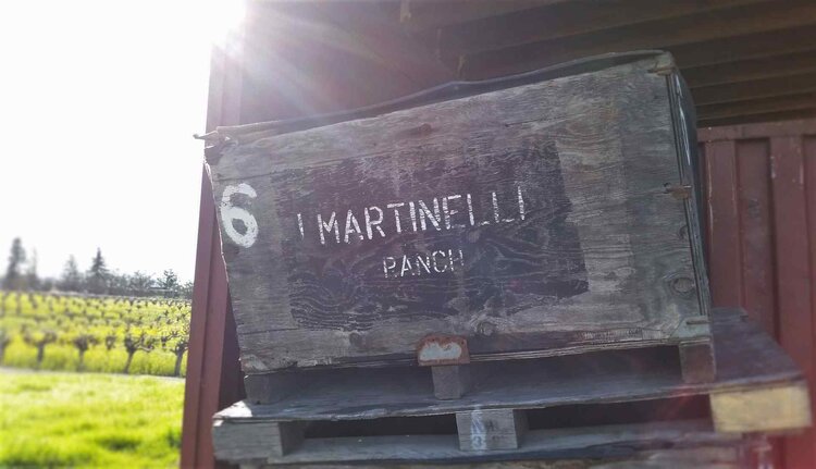 Zinfandel Zinfandel “Giuseppe & Luisa”, Martinelli Winery, Russian River Valley, CA, 2023