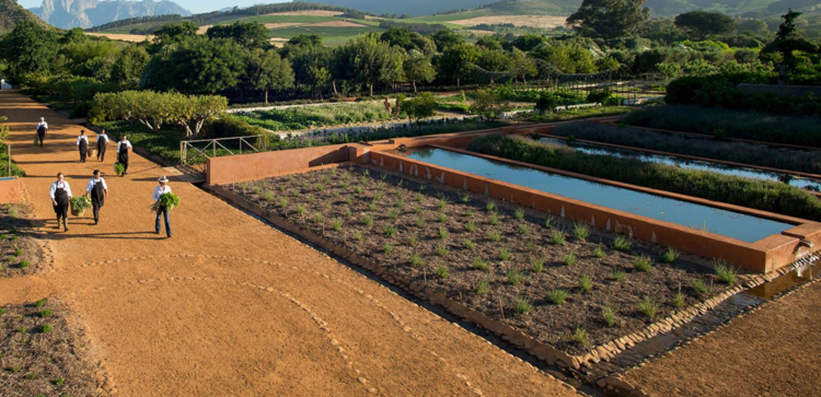 Sparkling Sparkling  "Sprankel", Babylonstoren, ZA, 2018