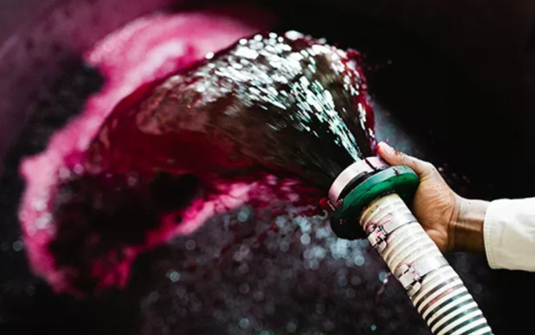 Sparkling Sparkling  "Sprankel", Babylonstoren, ZA, 2019