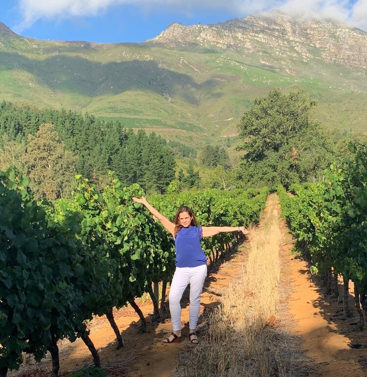 Rosè Rosé, "Pinotage Rosé" Safriel House, Coastal Region, ZA