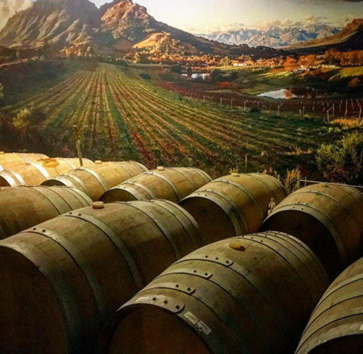 Rosè Rosé, "Pinotage Rosé" Safriel House, Coastal Region, ZA