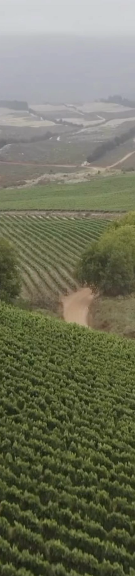 Last Chance Chardonnay, "Kara-Tara" Starke-Condé, Western Cape, ZA, 2023