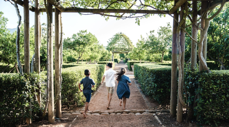 Other Whites Candide, Babylonstoren, ZA, 2024