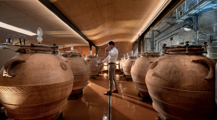 Rosè Rosé "Mourvedre", Babylonstoren, ZA, 2024