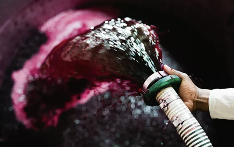 Rosè Rosé "Mourvedre", Babylonstoren, ZA, 2024