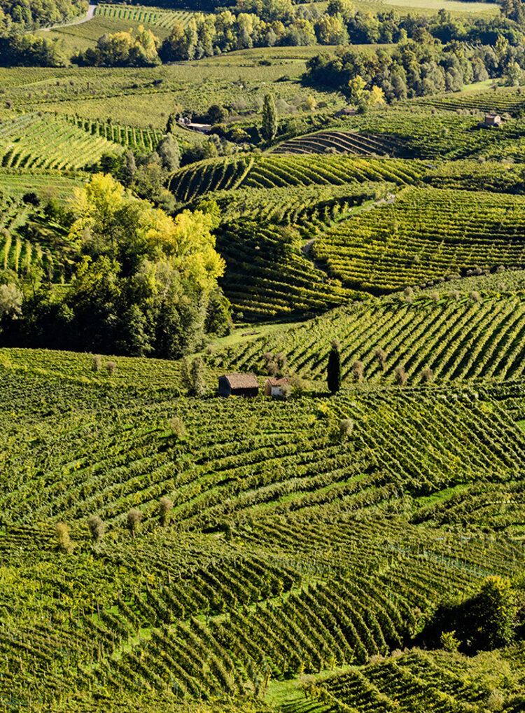 Sparkling Prosecco Brut "Jeio", Bisol, DOC, IT, NV