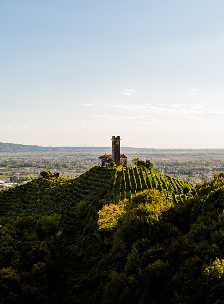 Sparkling Prosecco Brut "Jeio", Bisol, DOC, IT, NV