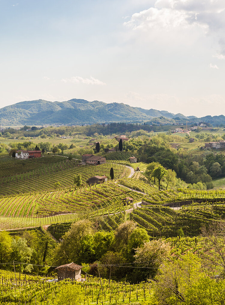 Sparkling Prosecco Brut "Jeio", Bisol, DOC, IT, NV