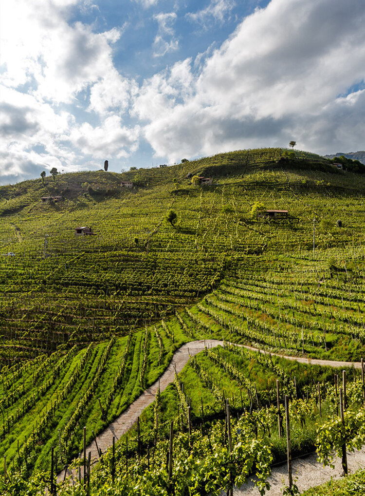 Sparkling Prosecco Brut "Jeio", Bisol, DOC, IT, NV