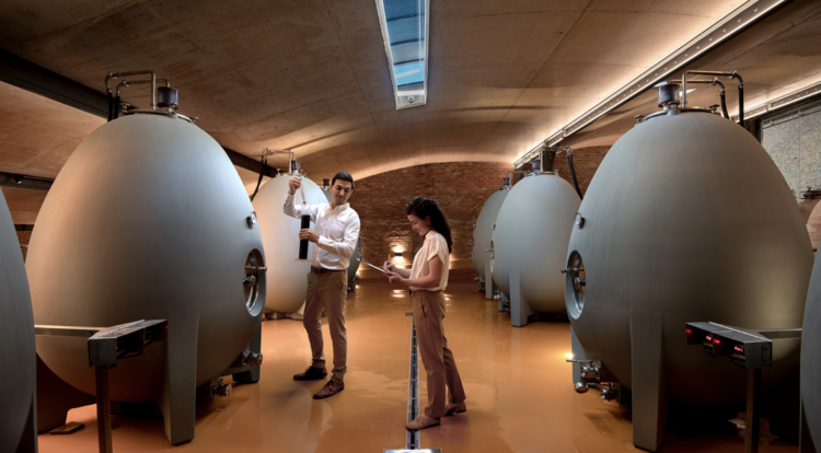 Viognier Viognier, Babylonstoren, Western Cape, ZA, 2023