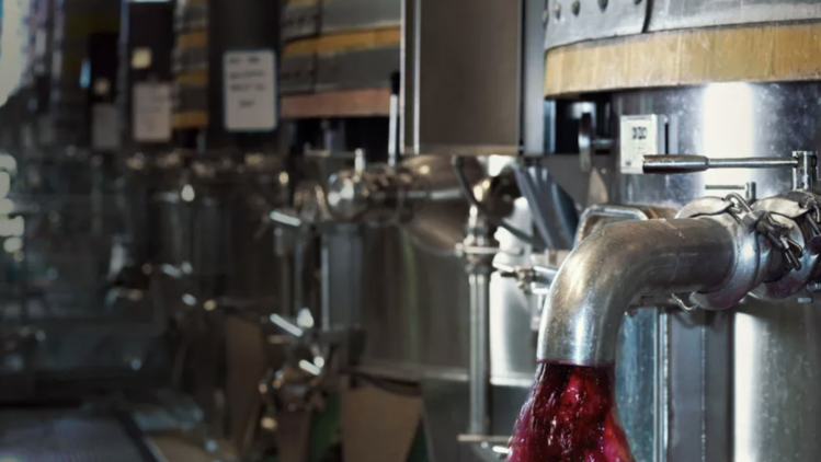 Sangiovese Chianti Classico "Riserva", Banfi, IT, 2023 (Mariani Family)