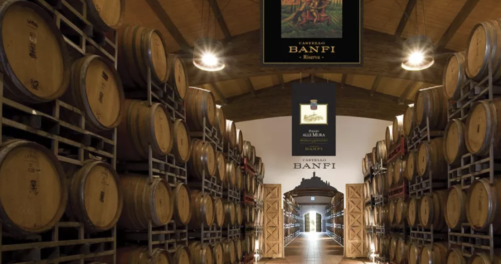 Cellar Wine Cellar Michael\'s 2018, Michael\'s Classico Banfi, Wine Chianti \