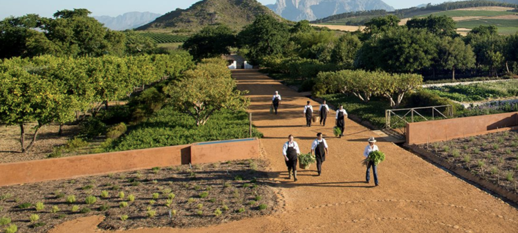 Cabernet Sauvignon Cabernet Sauvignon "Aska", Banfi, Bolgheri, IT, 2022 (Mariani Family)