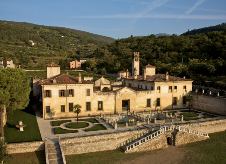 Corvina Corvina "Amarone della Valpolicella", Allegrini, Veneto, IT, 2020