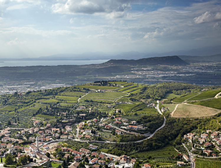 Corvina Corvina "Amarone della Valpolicella", Allegrini, Veneto, IT, 2020