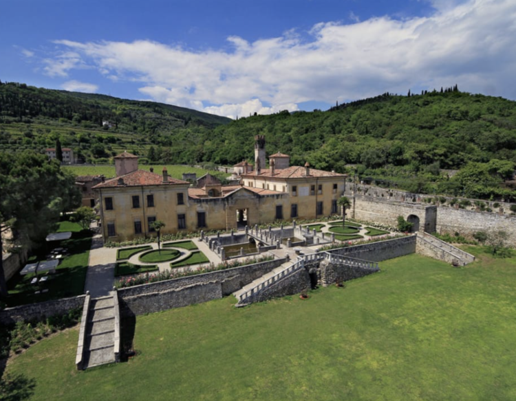 Corvina Corvina "Amarone della Valpolicella", Allegrini, Veneto, IT, 2020