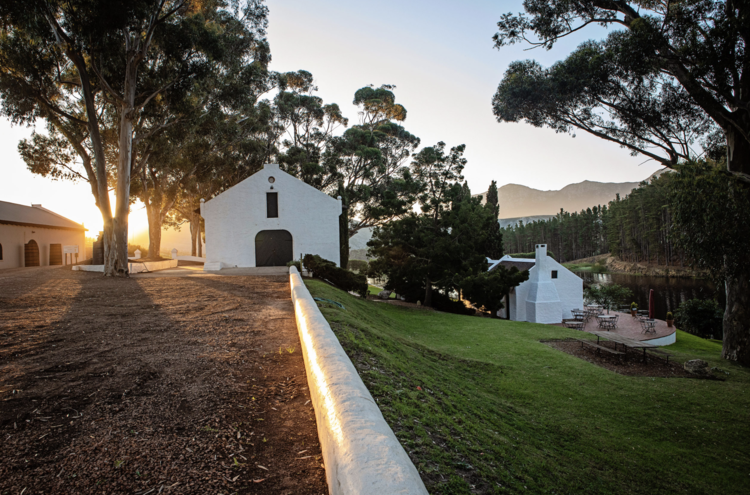 Pinot Noir Pinot Noir, Hamilton Russell Vineyards, Hemel-En-Aarde Valley, ZA, 2023