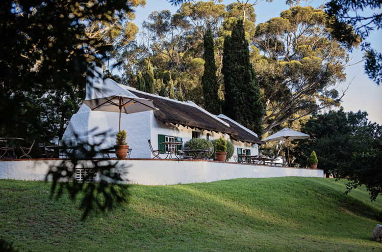 Pinot Noir Pinot Noir, Hamilton Russell Vineyards, Hemel-En-Aarde Valley, ZA, 2023