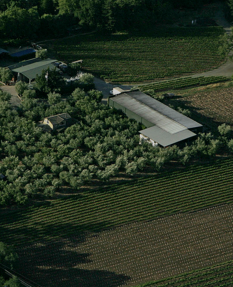 Zinfandel Zinfandel "Juvenile”, Turley Wine Cellars, CA, 2023 (Turley Family & Tegan Passalacqua)