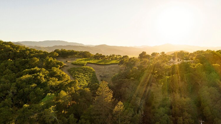 Cabernet Sauvignon Cabernet Sauvignon "Hartwell XX", Realm Cellars, Napa Valley, CA, 2018 (Benoit Touquette)